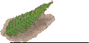 staff_page001002.gif